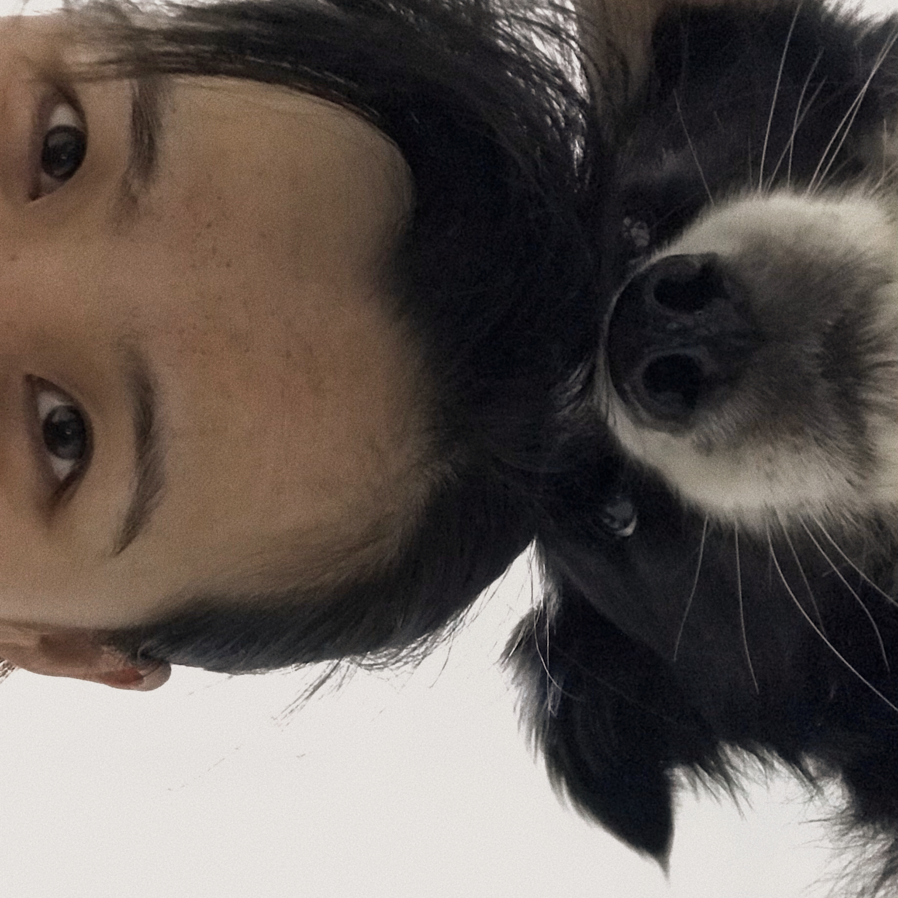 Xiaomao Wang